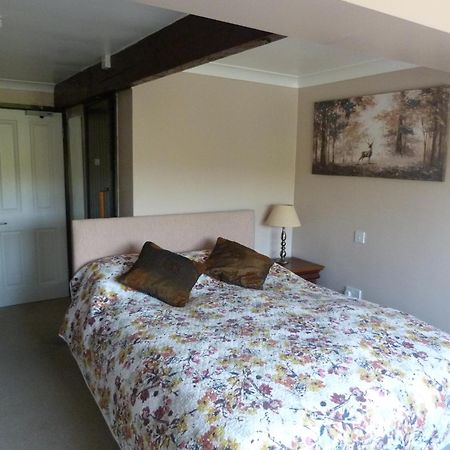Cameley Lodge - Self Catering Temple Cloud Exteriör bild
