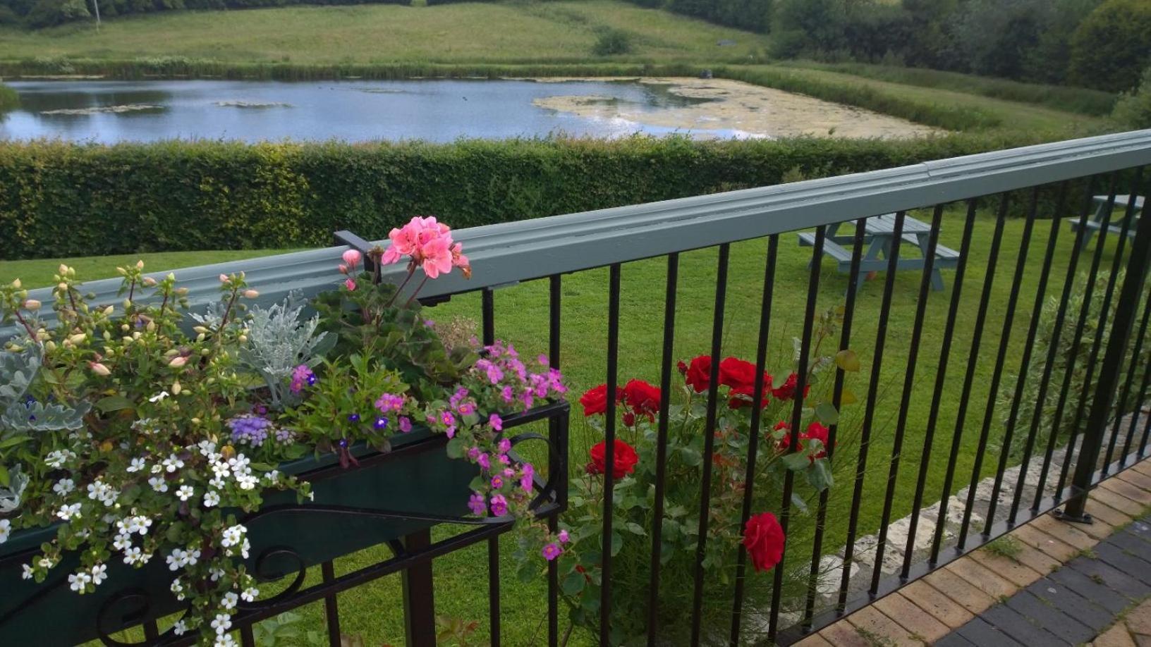 Cameley Lodge - Self Catering Temple Cloud Exteriör bild