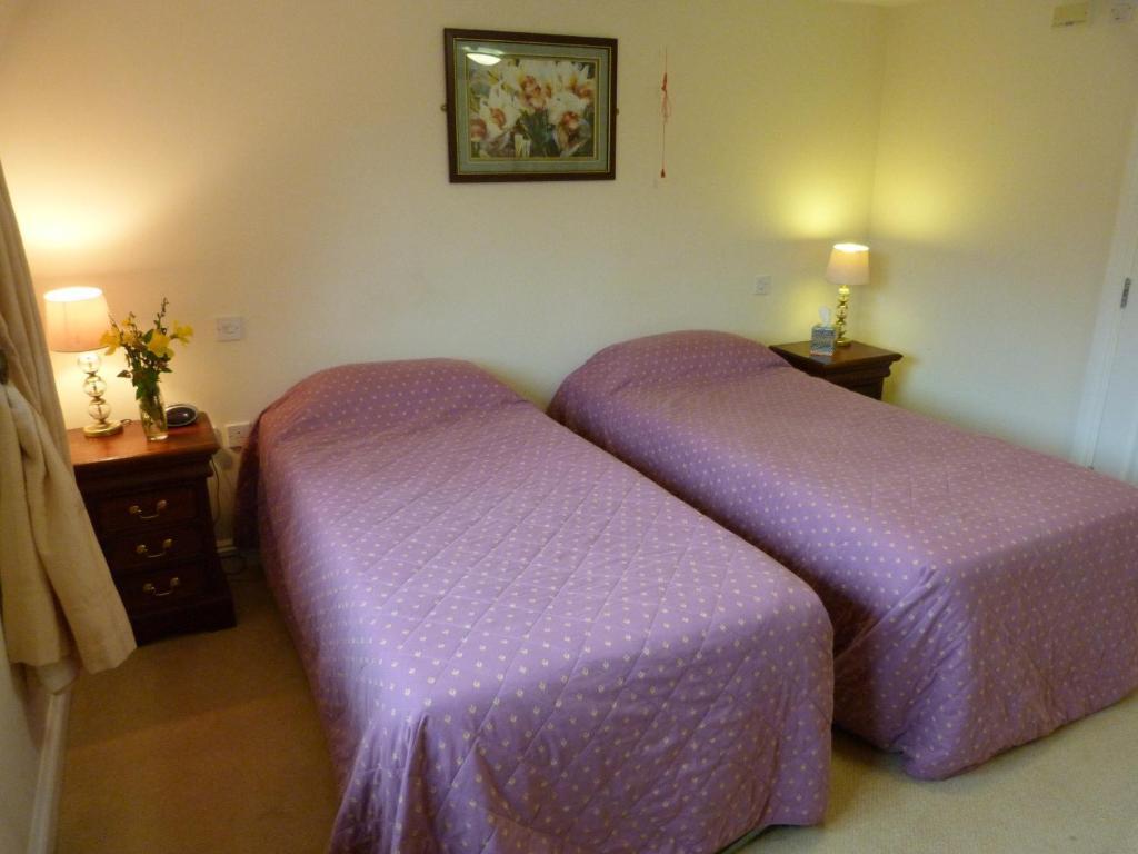 Cameley Lodge - Self Catering Temple Cloud Rum bild