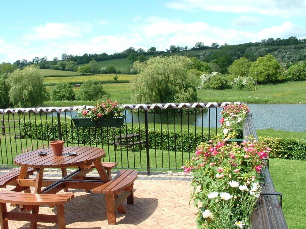 Cameley Lodge - Self Catering Temple Cloud Exteriör bild